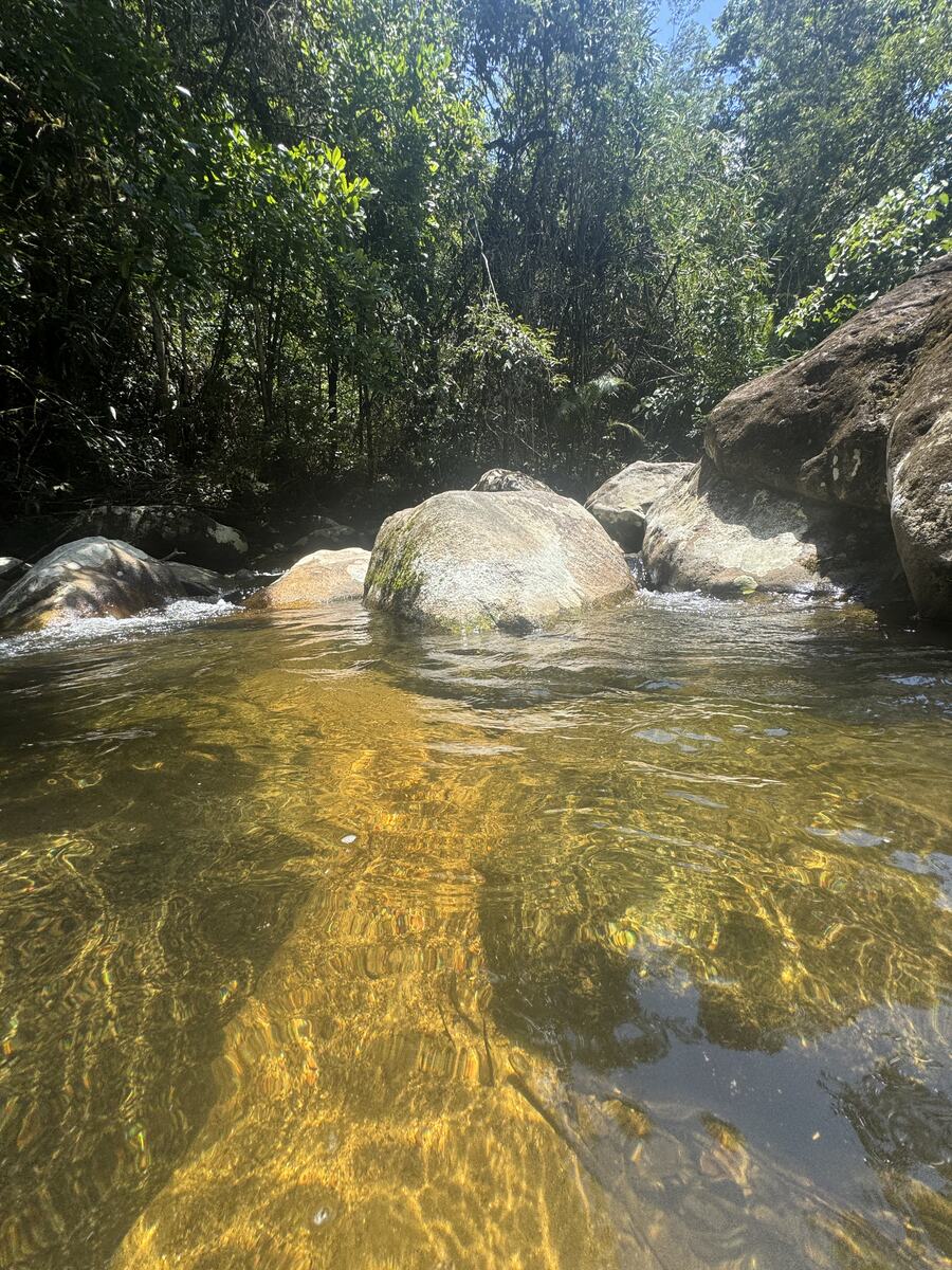 Banho de rio