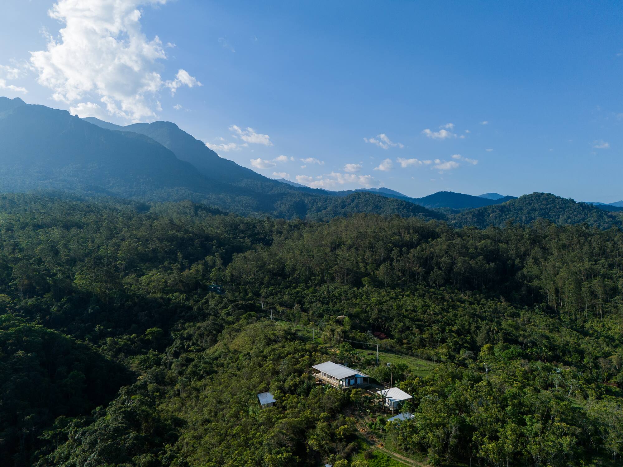 Vista aérea da Mata Atlântica — Viveiro Porto Seguro